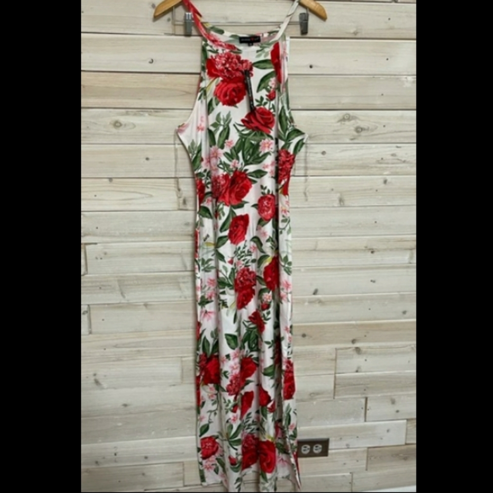 🎁3/$27🎁Plus size floral maxi dress